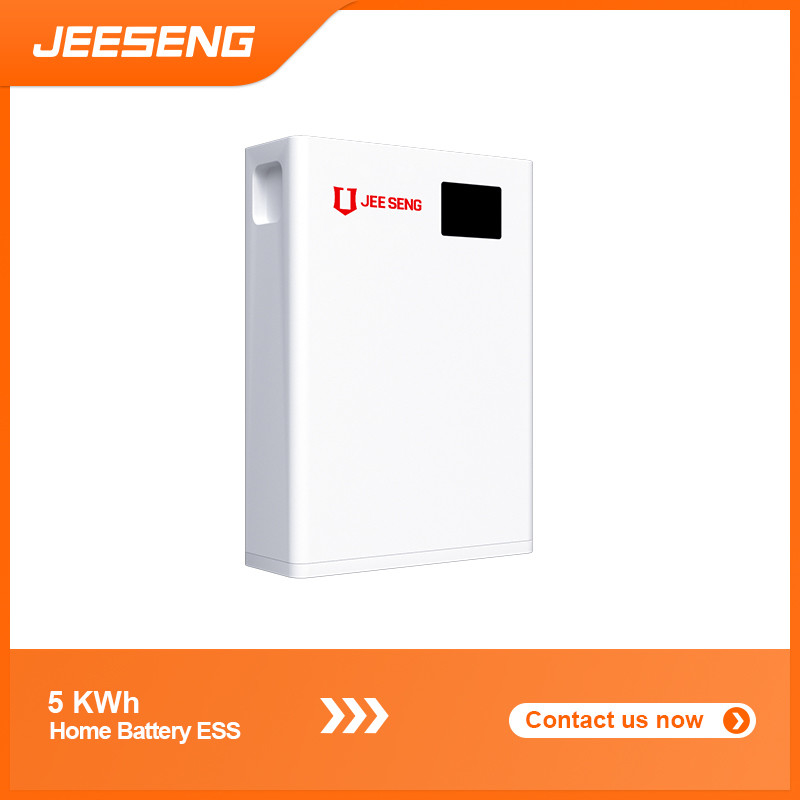 5KWh Home Wall-Mounted Energy Storage System with Advanced BMS Technology For Solar Power System