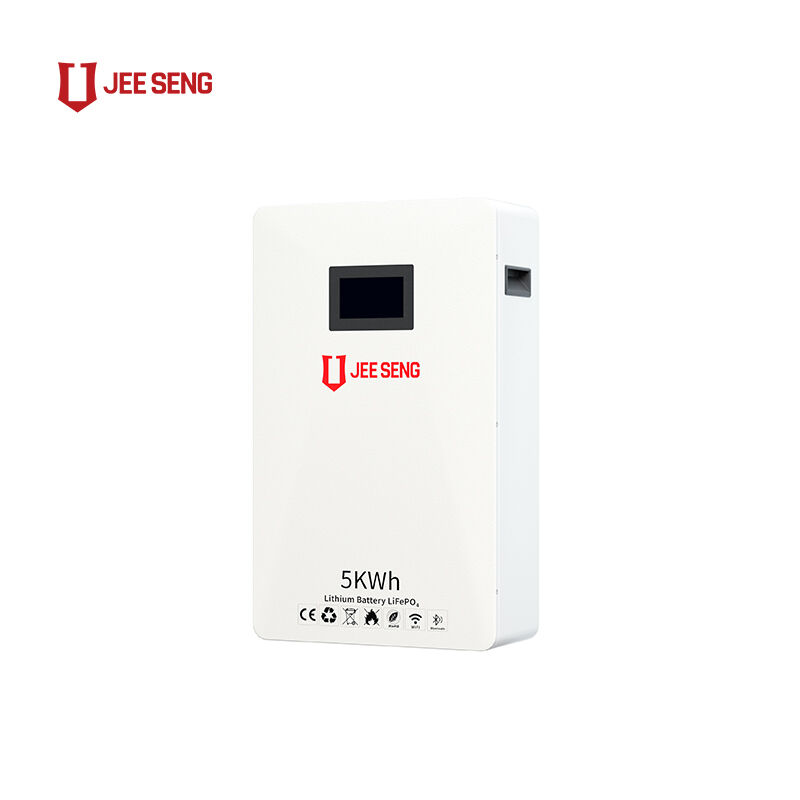 5KWh Home Wall-Mounted Energy Storage System with Advanced BMS Technology For Solar Power System