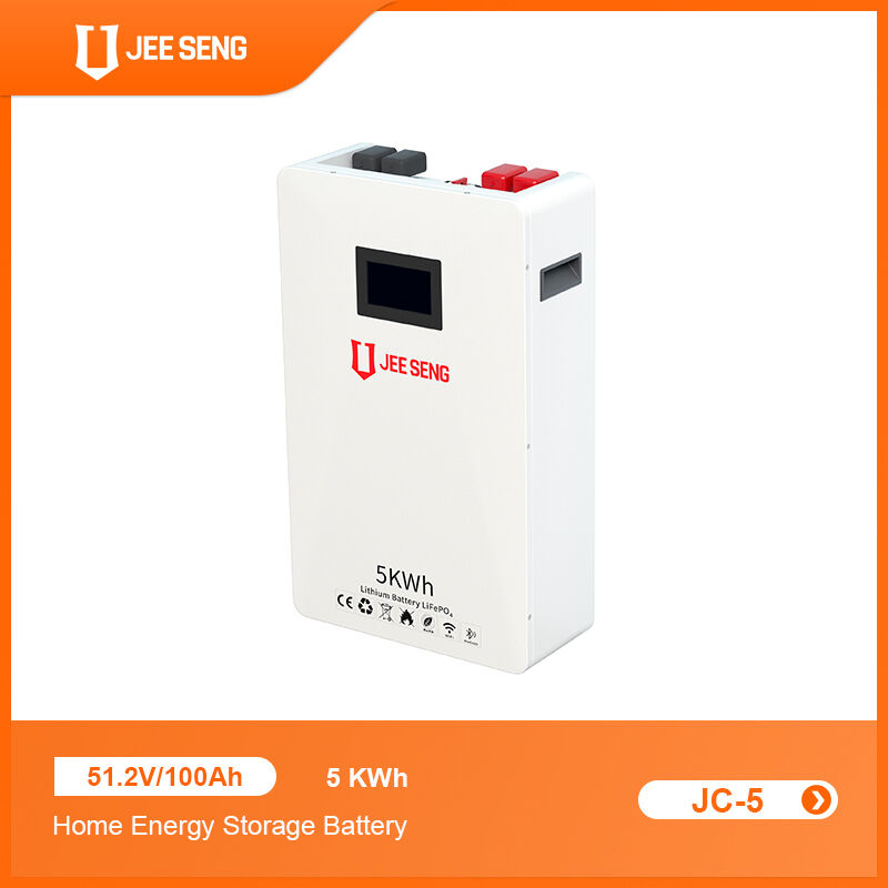 5KWh Home Wall-Mounted Energy Storage System with Advanced BMS Technology For Solar Power System