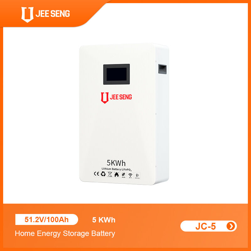 5KWh Home Wall-Mounted Energy Storage System with Advanced BMS Technology For Solar Power System