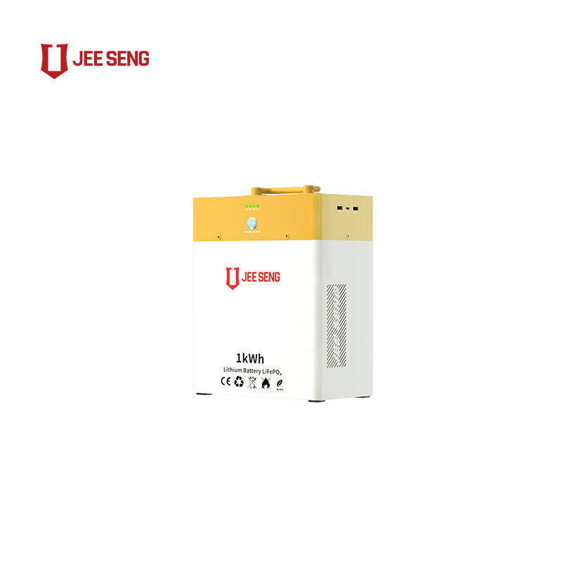 New Design 1KWH  Portable power energy storage lithium battery big powerbank easy to use